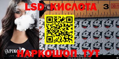 крисы Берёзовский