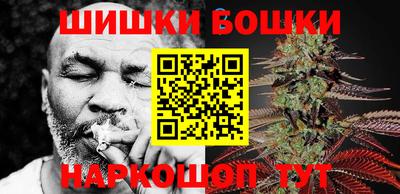 гашик Бийск