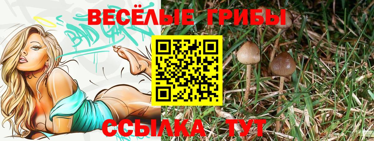 Псилоцибиновые грибы GOLDEN TEACHER Североморск