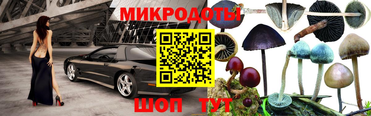 Галлюциногенные грибы мухоморы  Североморск 