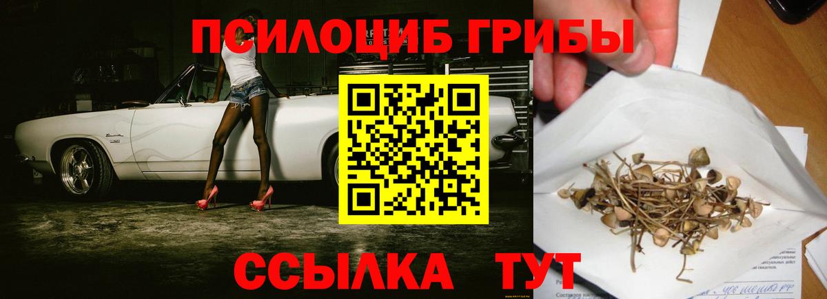 Псилоцибиновые грибы MAGIC MUSHROOMS  Вход с VPN  Североморск 